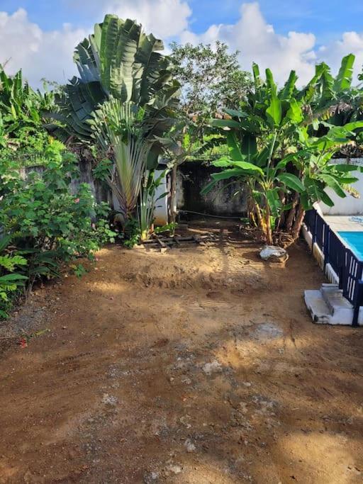 Villa Bleue كريبي المظهر الخارجي الصورة
