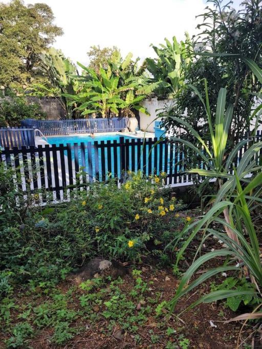 Villa Bleue كريبي المظهر الخارجي الصورة